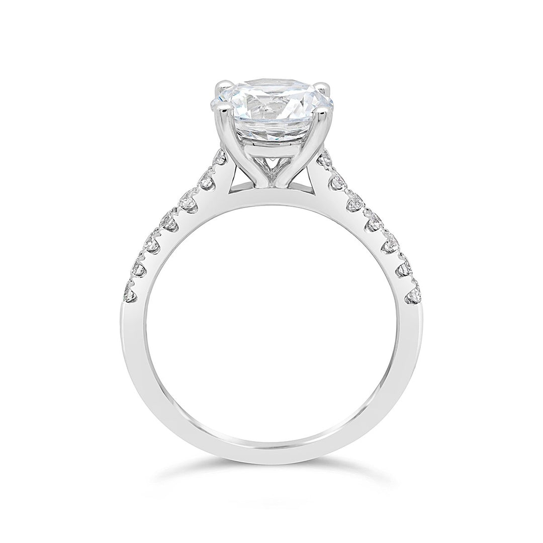 Diamond Engagement Ring Setting - The Diamond Guys